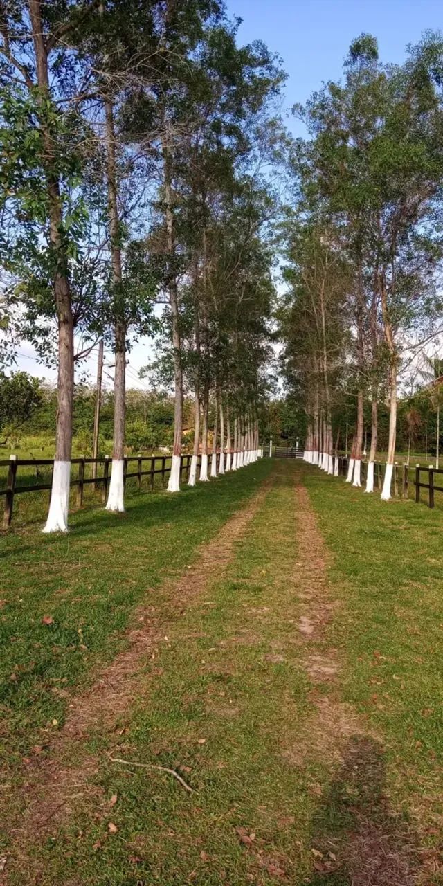 Imóvel para venda com 500000 metros quadrados com 4 quartos - Foto 2