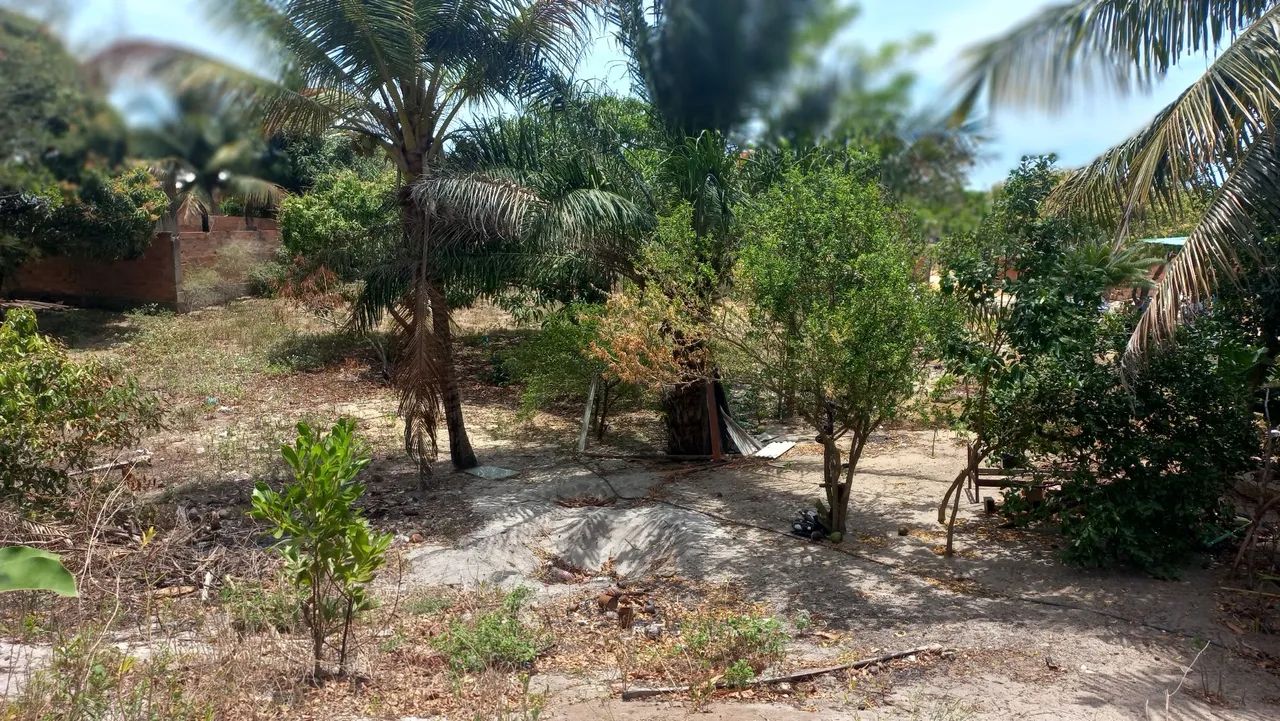 Uma linda terra, pra construí e  plantar  - Foto 2