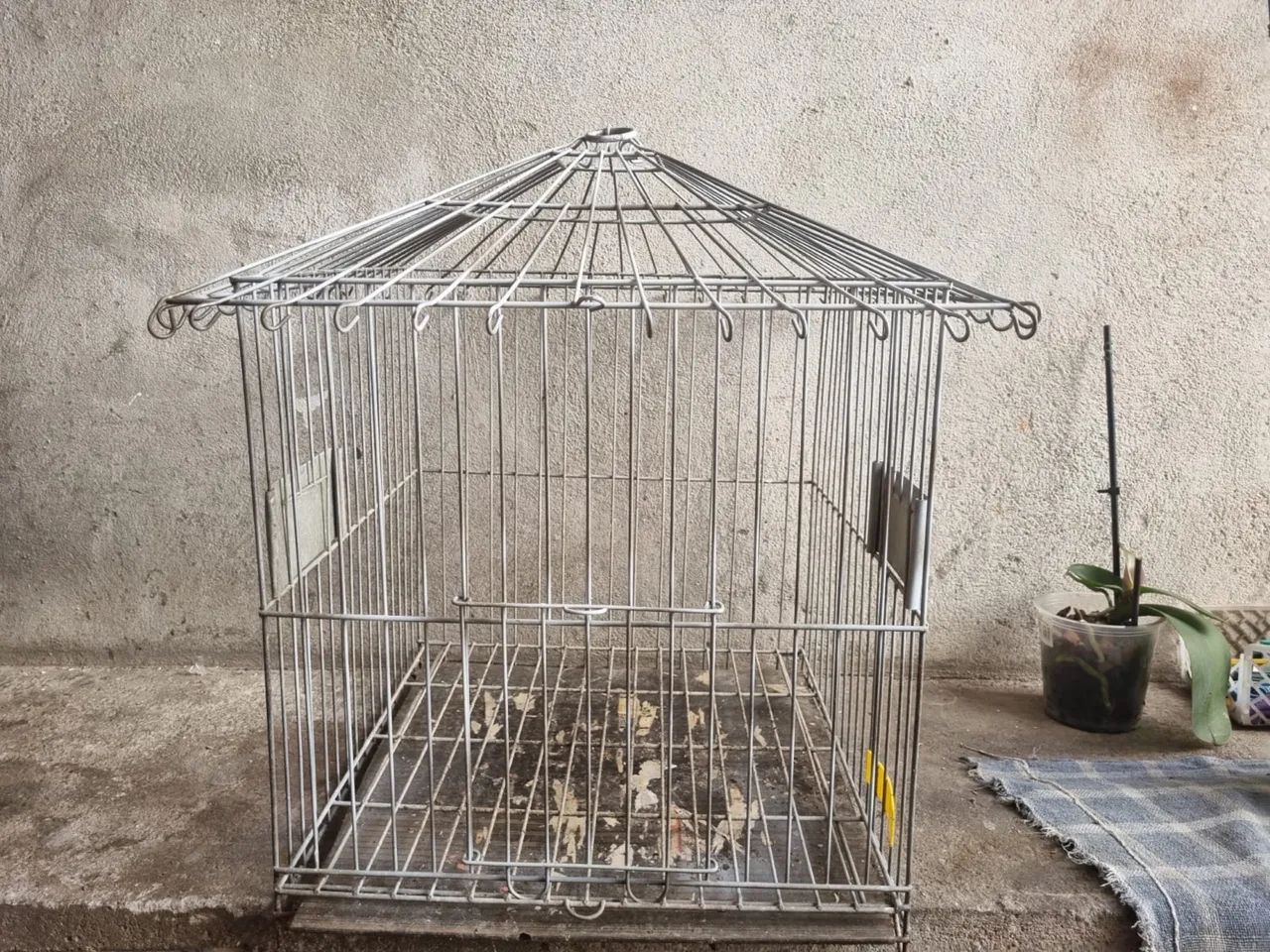 Gaiola - Foto 2