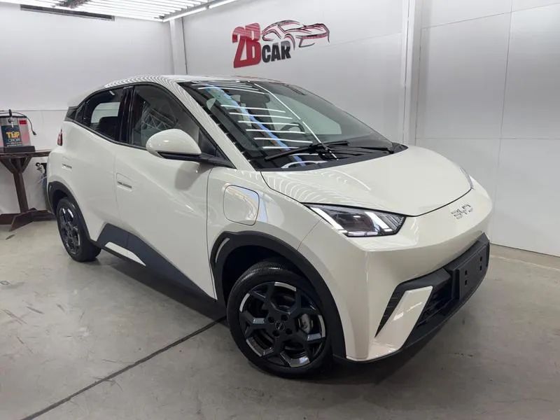 BYD Dolphin Mini (Elétrico) 2027