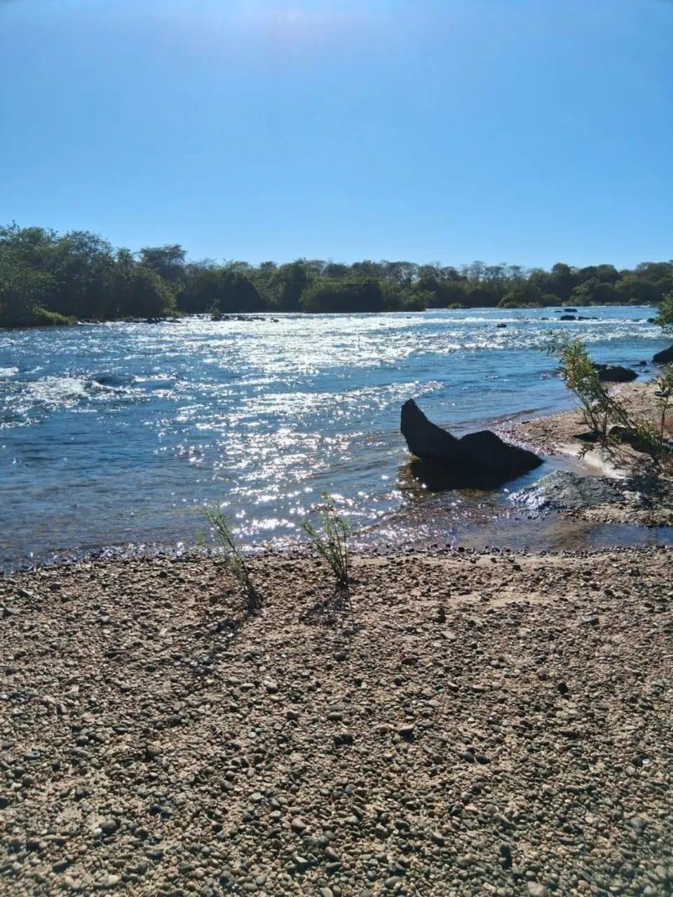 Vendo ilha próximo ao Peixe - TO - Foto 3