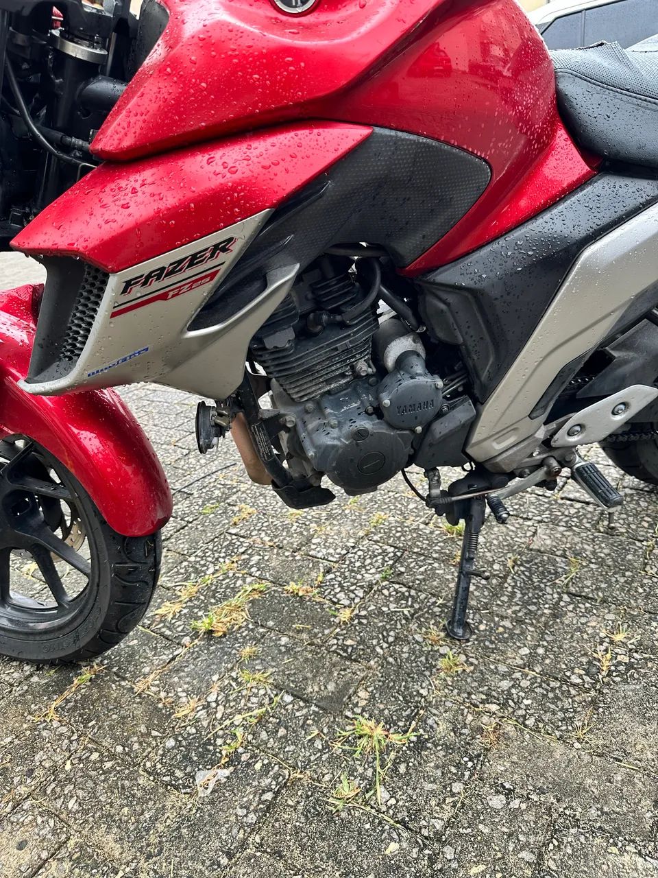 FZ25 2019/2020 - Foto 3