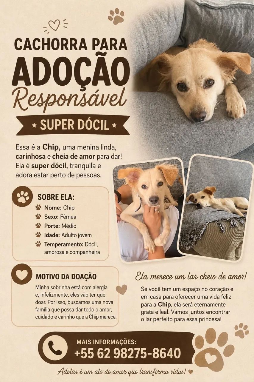 Adoção responsável - Foto 3