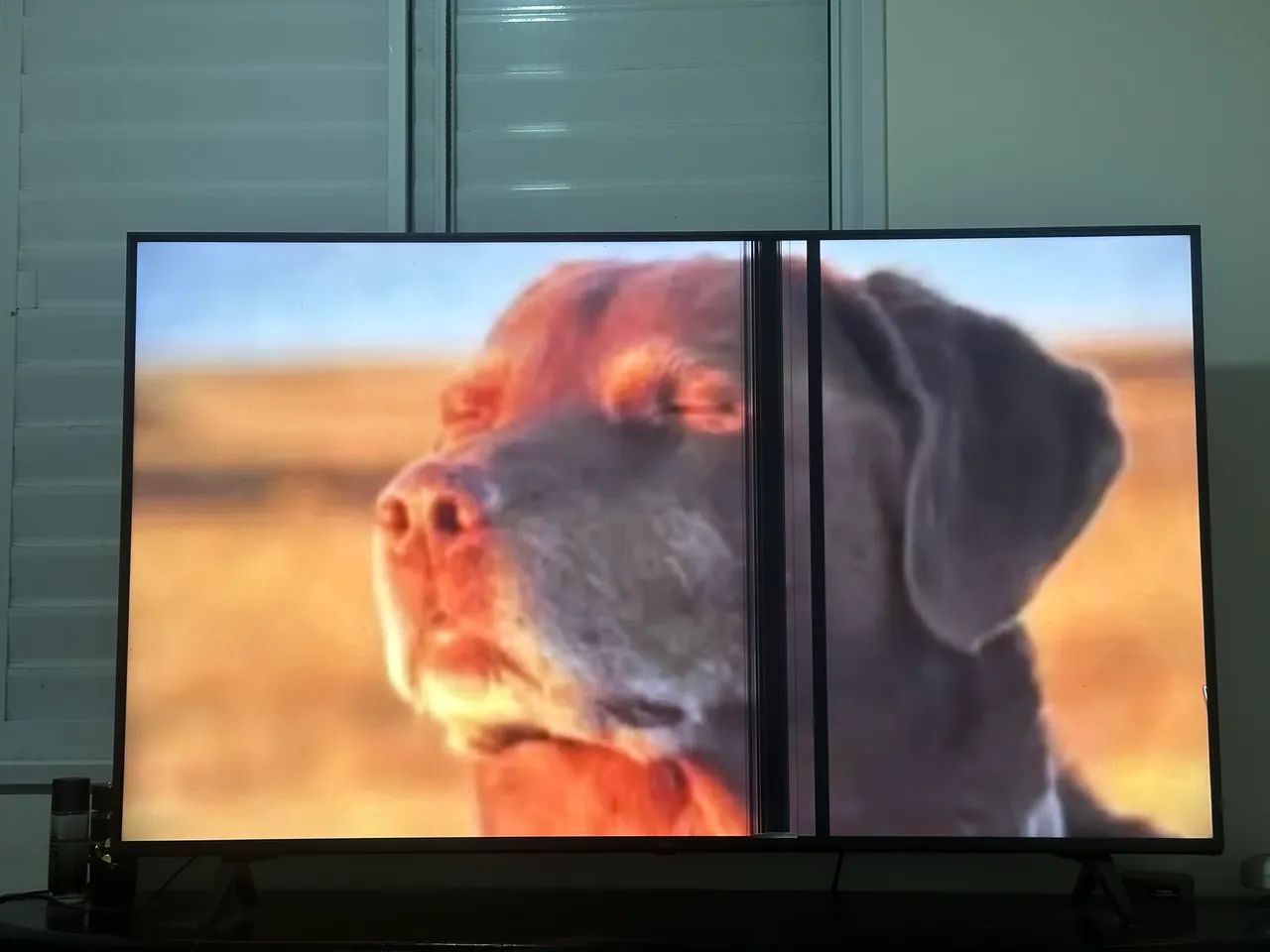 TV SMART 55? LG 