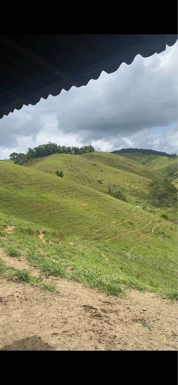 Venda