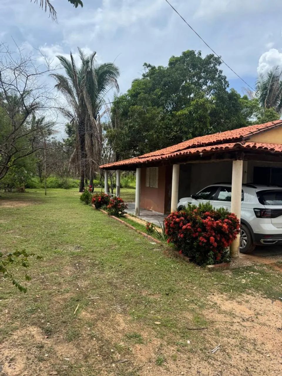 Sítio  - Foto 5