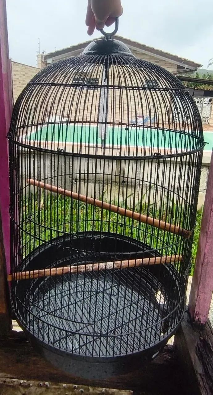 Gaiola de calopsita chique