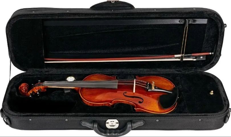 Violino Eagle VK 644 e assessórios