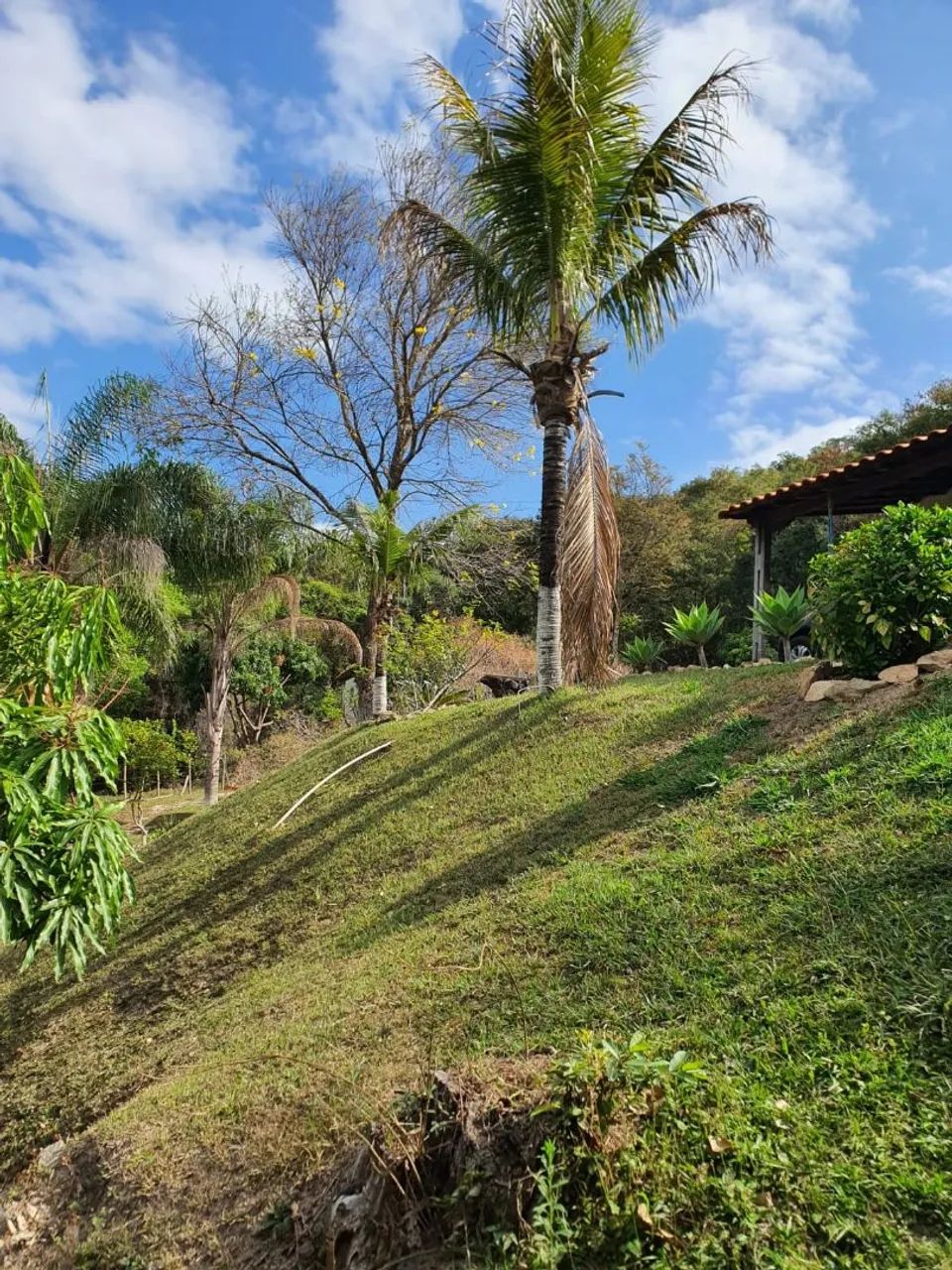 Vendo ou troco sitio em condomínio próximo a Roças  - Foto 2