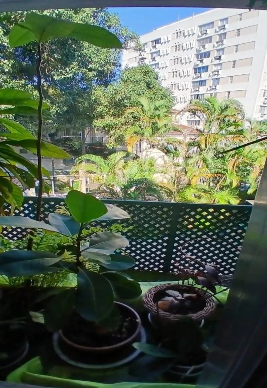 Jardim Botânico - Especial - Foto 5