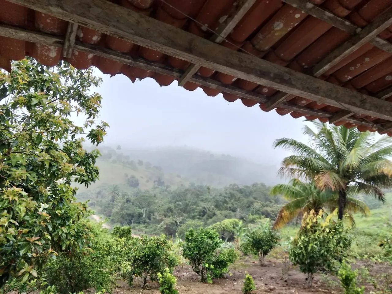 sitio a venda  - Foto 5