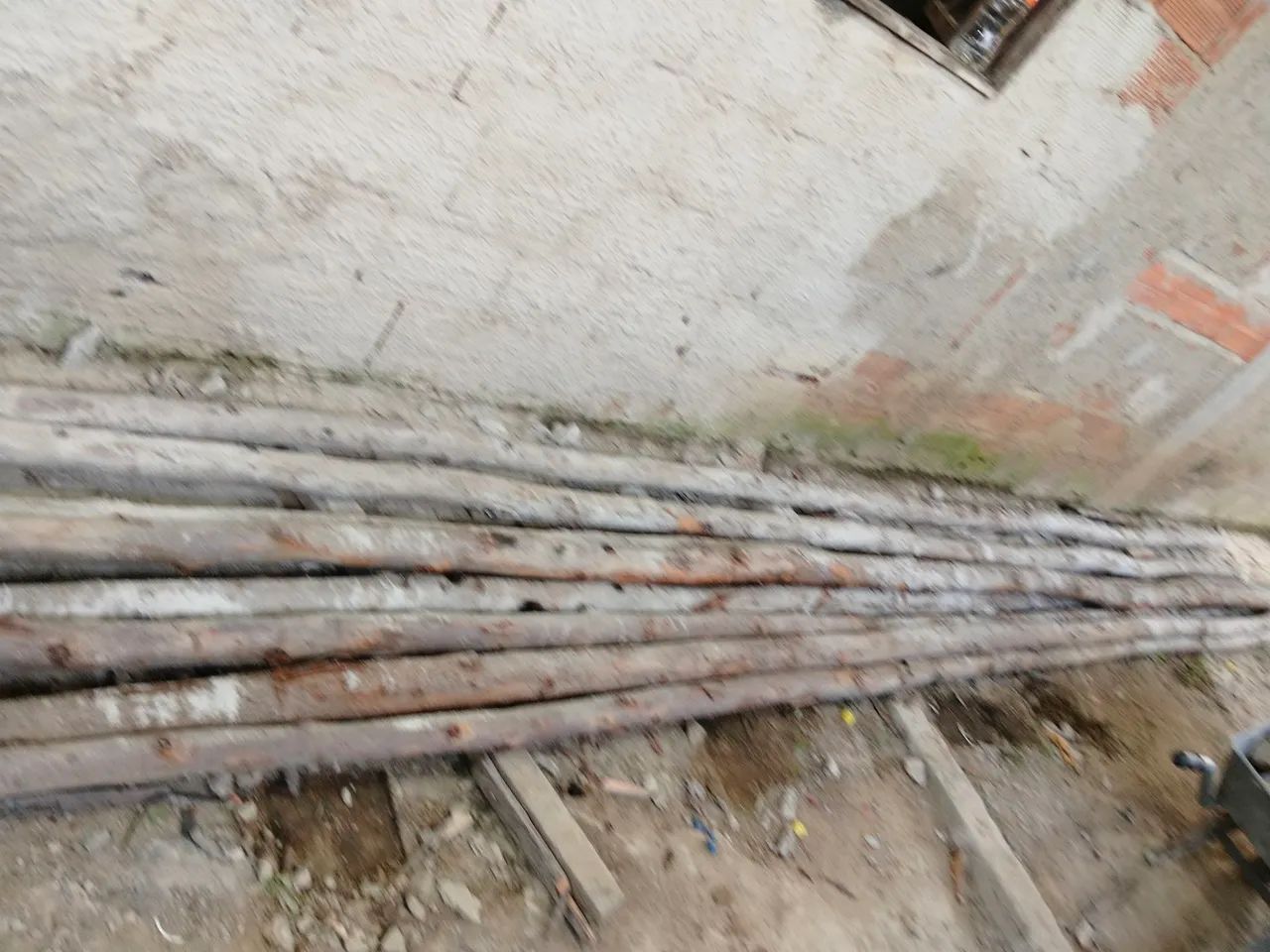 Eucalipto para escora - Foto 3