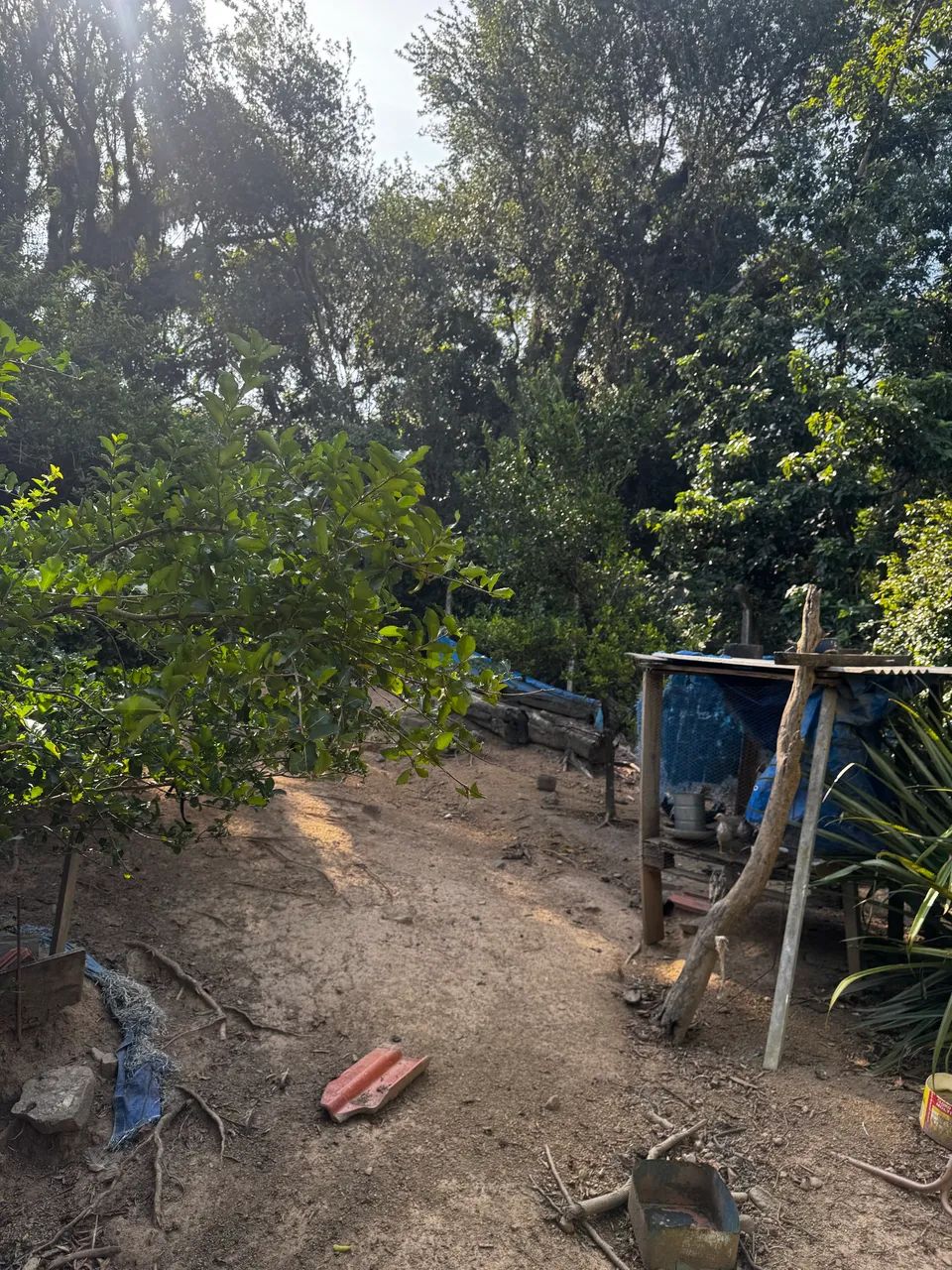 Vendo chácara em monte mor - Foto 5