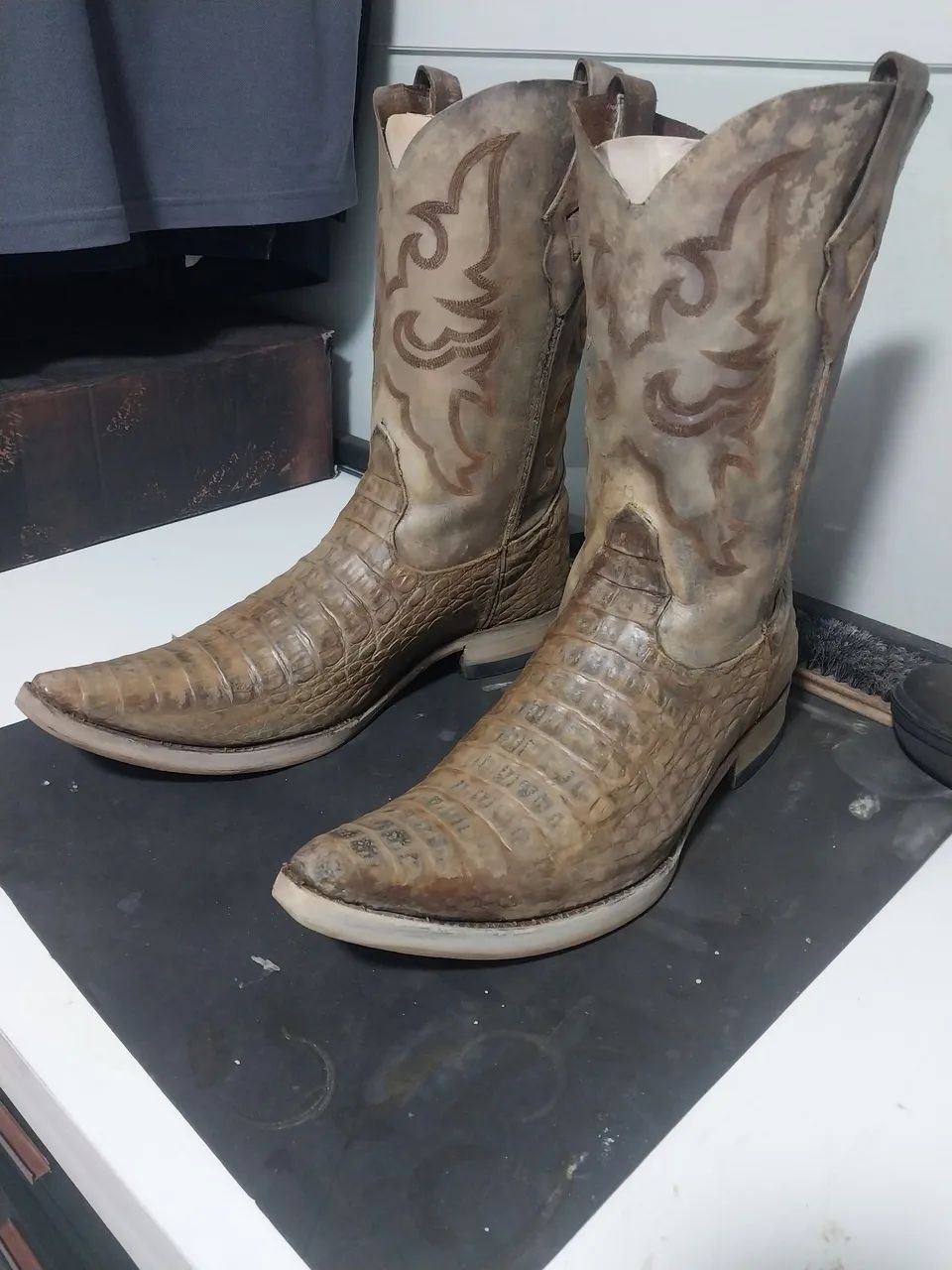 Botas goyazes 