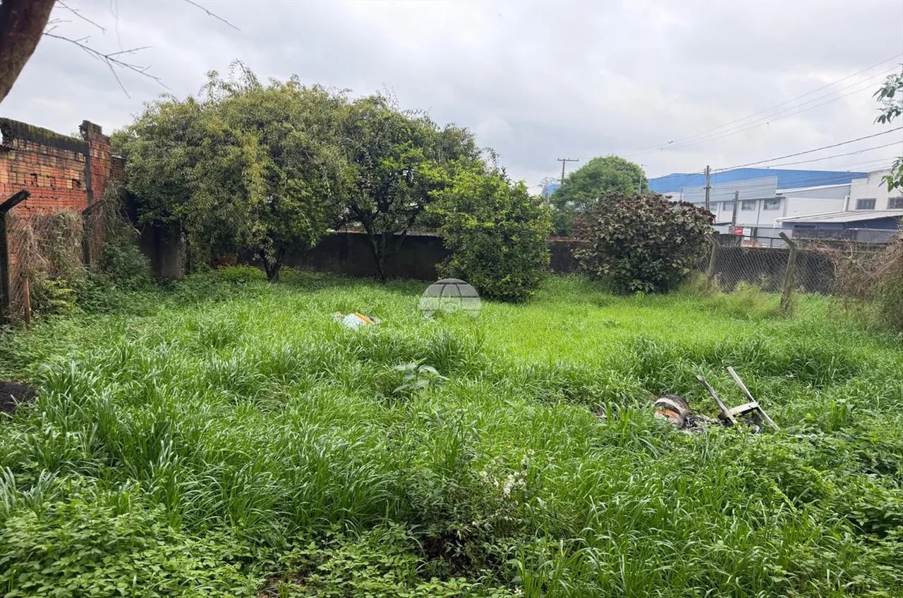 Vendas Terreno Pinhais PR - Foto 3