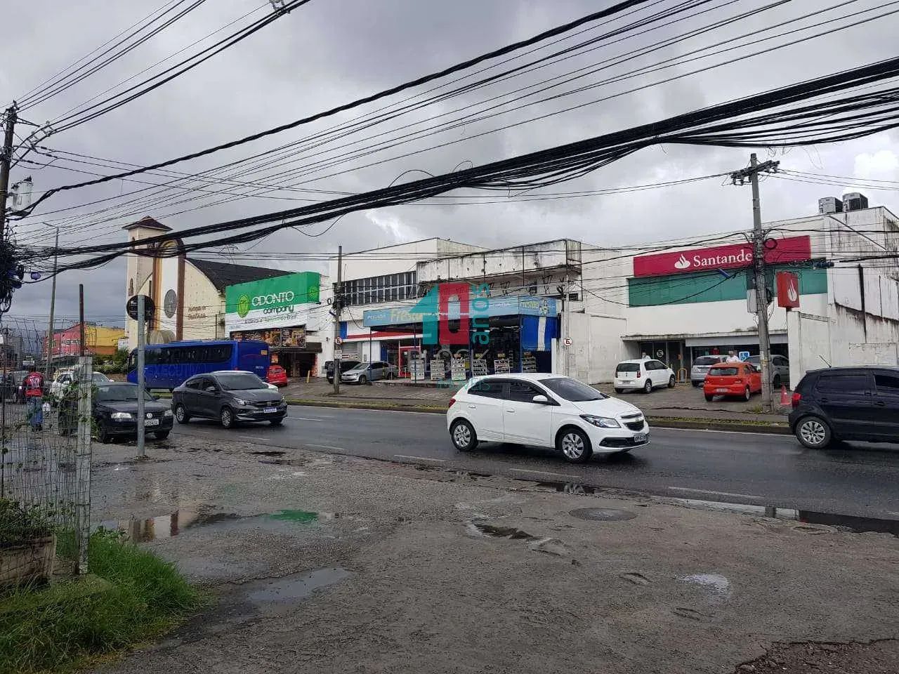 Campo Grande | Terreno - Foto 3