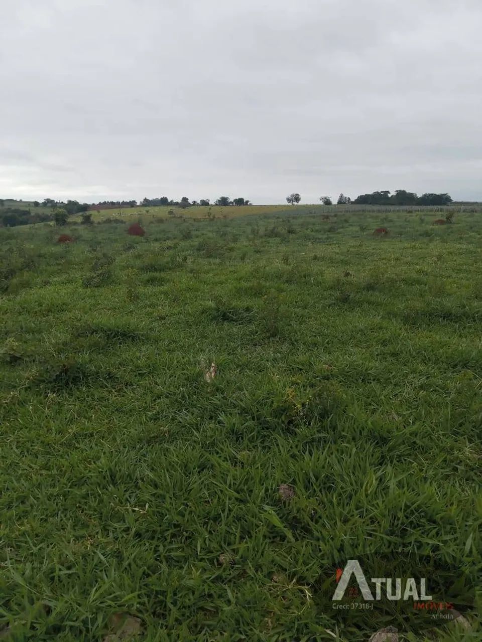 Área de 145.200 m² á venda em Tatuí/SP - Foto 3