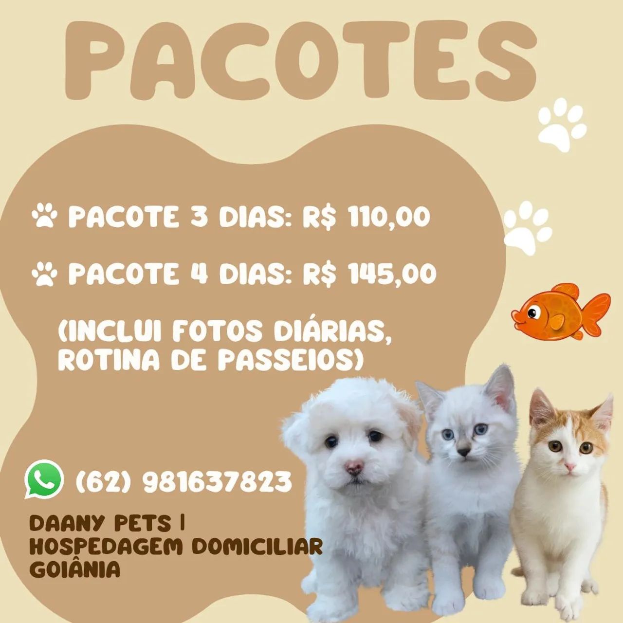 Hospedagem Domiciliar Pet - Foto 3