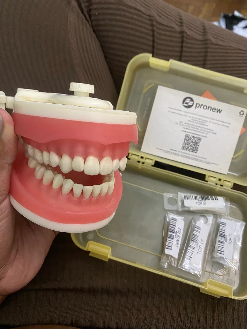 Manequim dentistica  pronew - Foto 2