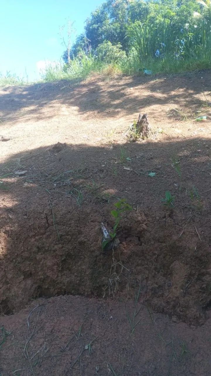 Terreno  - Foto 2