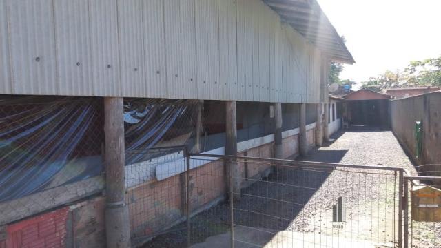 Casa, Itinga, Araquari-SC - Foto 2