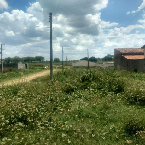Vendo terreno no loteamento sabiá em Palmeira dos Indios