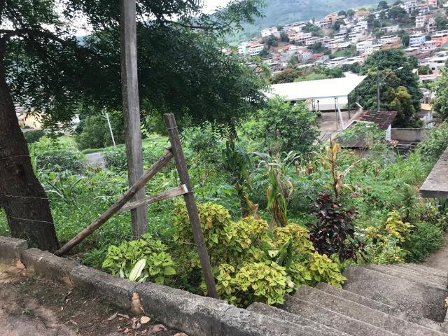 Terreno Jardim América - Foto 3