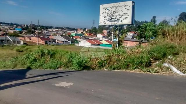 Terreno à venda em Atuba, Curitiba cod:152877 - Foto 11