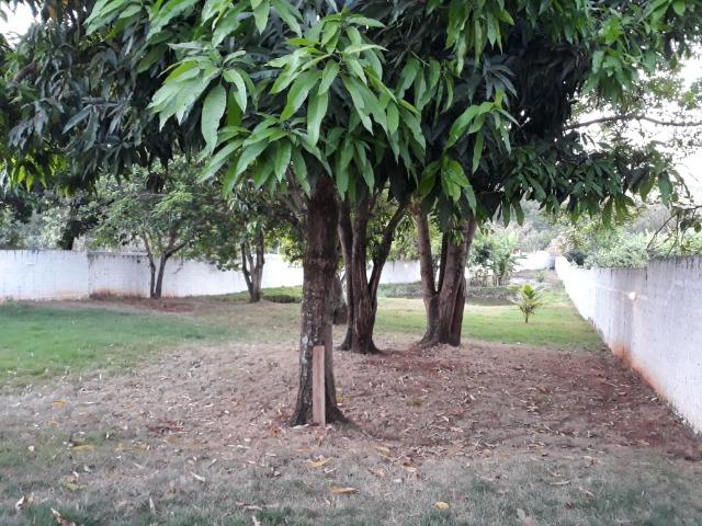 Excelente chácara dentro da cidade com asfalto na porta - Foto 19