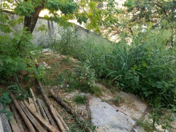Loteamento/condomínio para alugar em Álvaro camargos, Belo horizonte cod:20535 - Foto 12