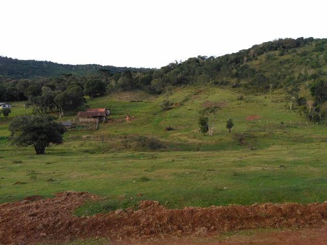 Fazenda de 93 Alqueires .Guabiroba - Guarapuava PR .R$ 30 mil por Alqueire - Foto 5