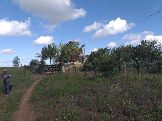 Propriedade de 8 hectares-toda cercada-com 2 casas, a 5 km de Apoti-PE - Foto 5