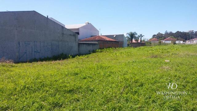 Terreno à venda, 2952 m² por r$ 2.300.000,00 - afonso pena - são josé dos pinhais/pr - Foto 9