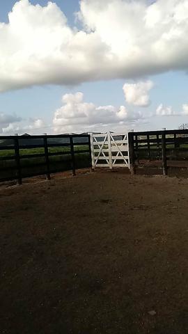 Vendo propriedade união dos Palmares - Foto 12