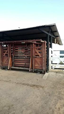 Vendo propriedade união dos Palmares - Foto 14