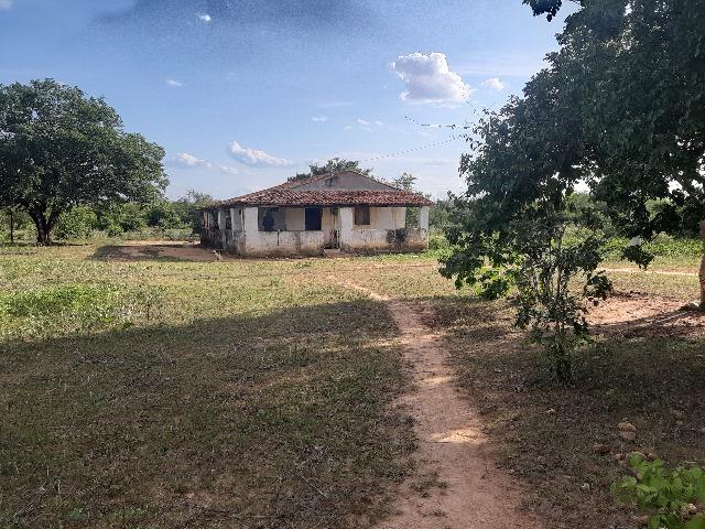 Vendo fazenda ou troco