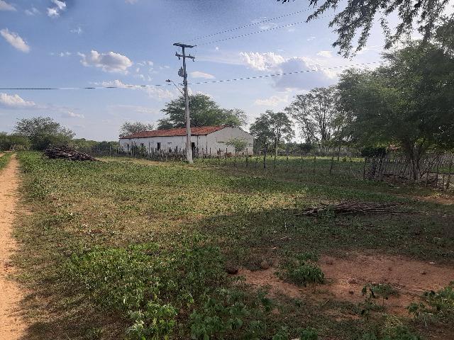Vendo fazenda ou troco - Foto 14