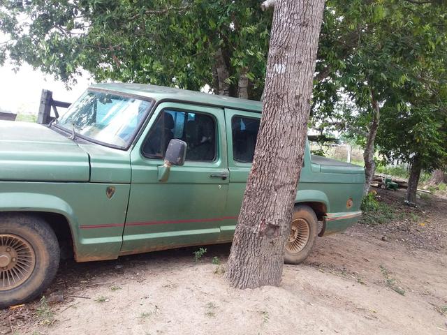 F 1000 cabine dupla - Foto 4