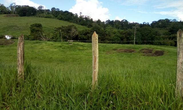 Ótima Fazenda Mista Gado e Cacau - Foto 8
