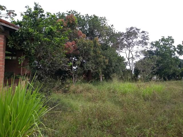 Vendo granja - Foto 5