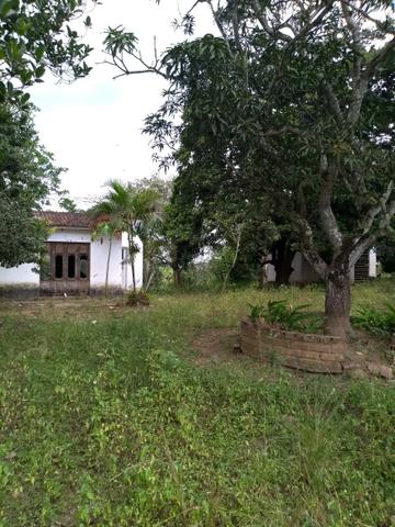Vendo granja - Foto 11