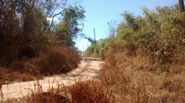 Área, Fazenda Santo Antônio das Lages, Caldas Novas-GO - Foto 7