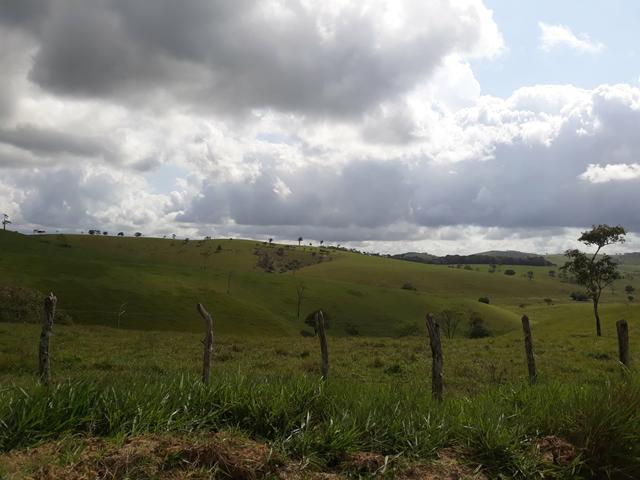 Vendo uma das melhores propriedade união dos Palmares - Foto 10