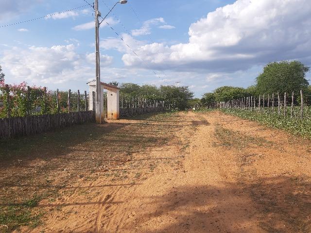 Vendo fazenda ou troco - Foto 19