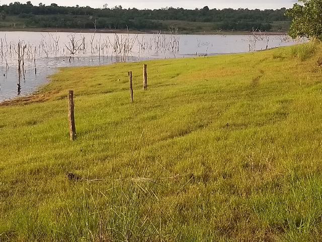 Terra Região de Chapada dos Guimarães - Foto 15