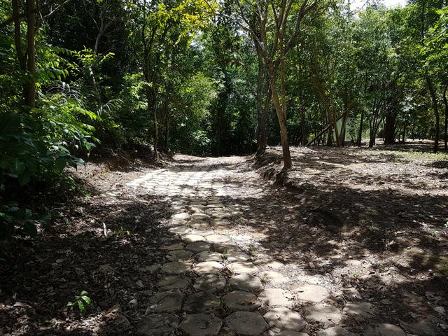 Sitio no Rio Manso - Foto 14