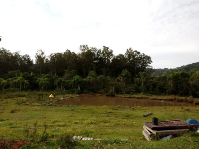 Chácara 5.000 m² - lomba grande - novo hamburgo - rs - Foto 13