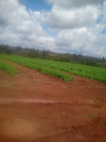 Fazenda na chapada diamantina - Foto 5
