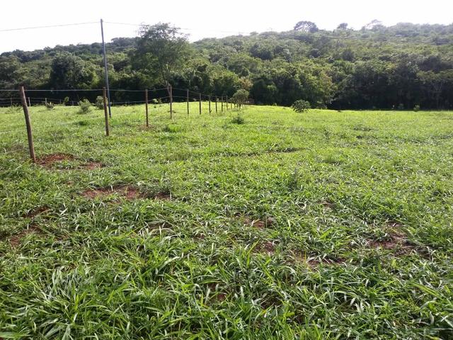 Chácara em Gameleira de Goiás - Foto 7