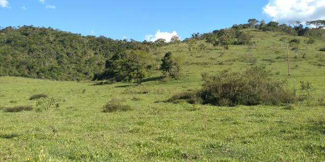 Fazenda - Foto 4